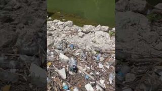 Development & Pollution North Texas Creek #nature #conservation #education #texas #dallas