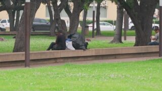Homeless population growing near Dallas library