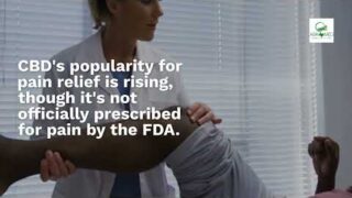 Pain Management Doctors In Dallas, TX: What You Must Know!
